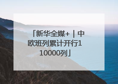 新华全媒+｜中欧班列累计开行110000列